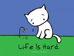 sad kitty, life is hard