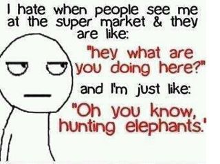 hunting elephants
