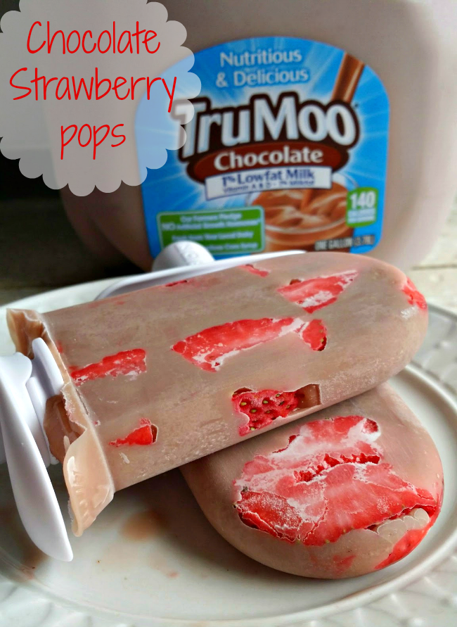 Strawberry-Chocolate-TruMoo-Pops