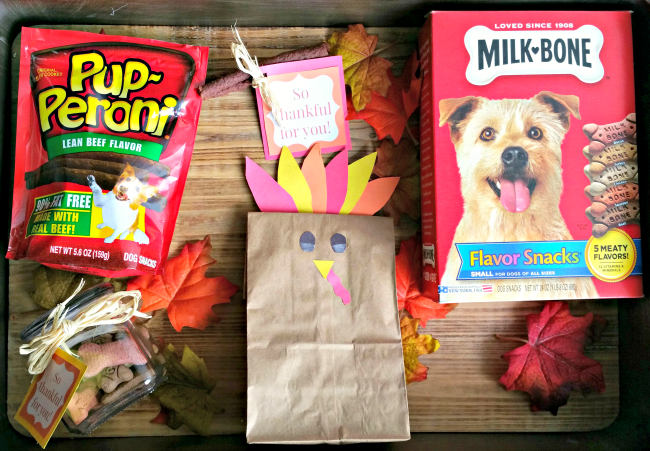 treat gifts for dogs