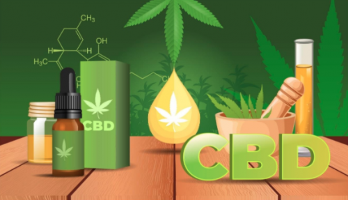 CBD Oil for Pets \u2013 The Legality and Advantages - ToBeThode