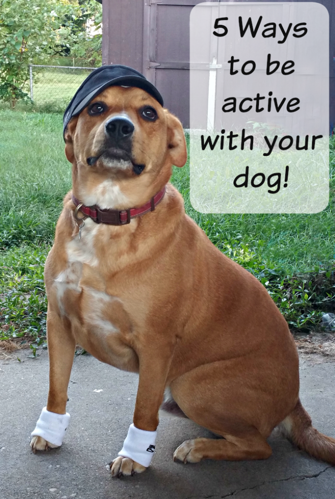 be active with dog